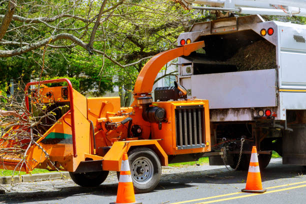 Lawn Drainage Solutions in Louisville, IL