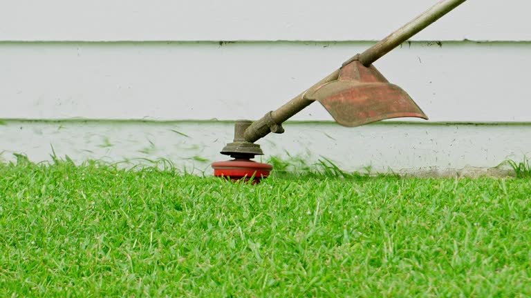 Best Lawn Maintenance Plans  in Louisvle, IL