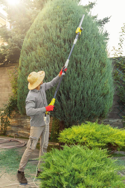 Best Seasonal Cleanup (Spring/Fall)  in Louisvle, IL